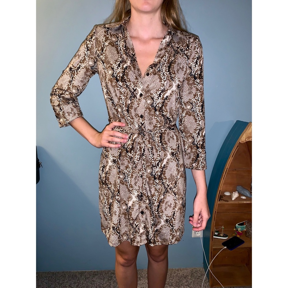 3/4 length sleeve dress